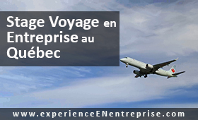 stage-voyage-en-entreprise-au-quebec